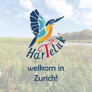 Harteluk Afsluitdijk Zurich